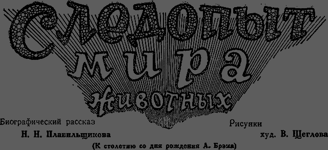 Всемирный следопыт 1929 № 02 - _05_sledopit.png