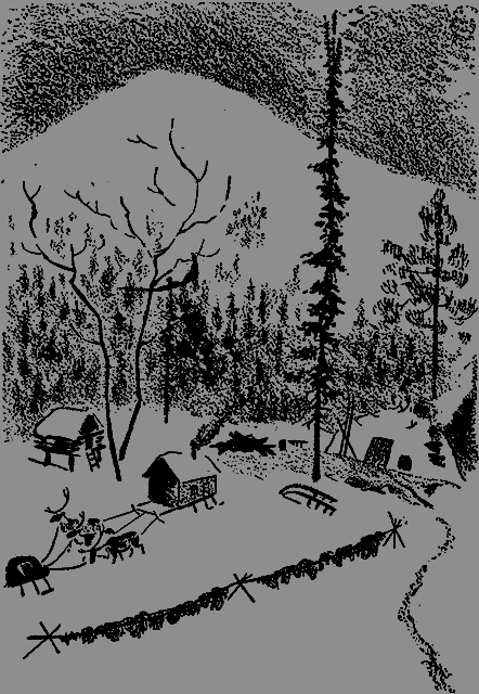 Всемирный следопыт 1929 № 07 - _07_str485.png