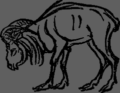 Всемирный следопыт 1929 № 10 - _32_str776.png