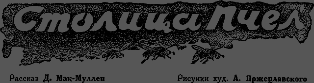 Всемирный следопыт 1929 № 12 - _05_stolicapchel.png