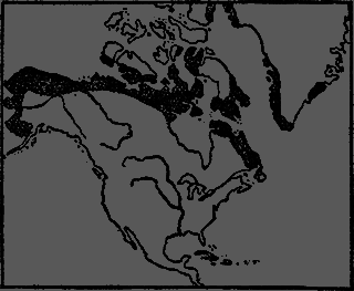 Всемирный следопыт 1929 № 12 - _49_gallereya1.png