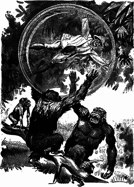 Всемирный следопыт 1930 № 01 - _15_str37.png