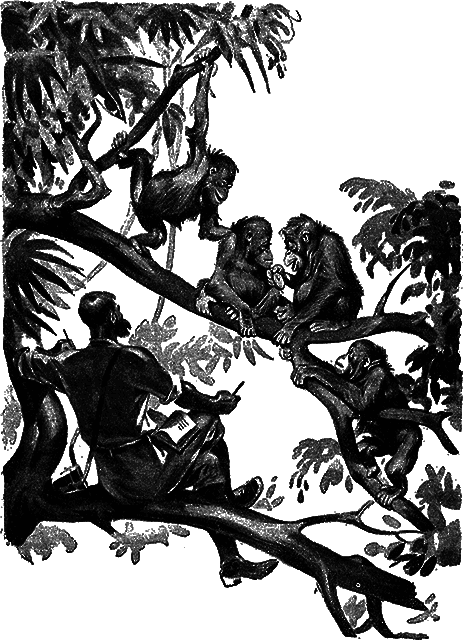 Всемирный следопыт 1930 № 01 - _16_str40.png