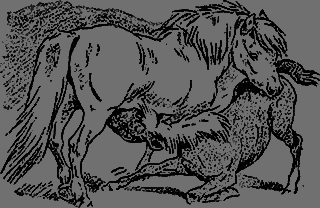 Всемирный следопыт 1930 № 01 - _24_str61.png