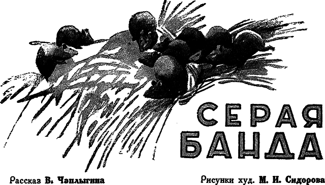 Всемирный следопыт 1930 № 06 - _05_banda.png