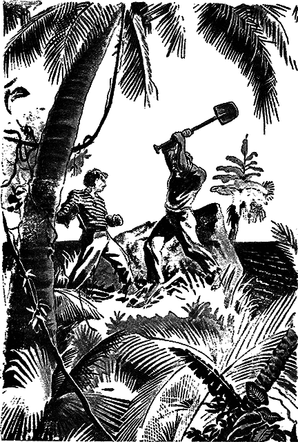 Всемирный следопыт 1930 № 06 - _12_str419.png