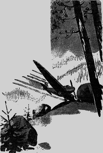 Всемирный следопыт 1930 № 08 - _10_str579.png