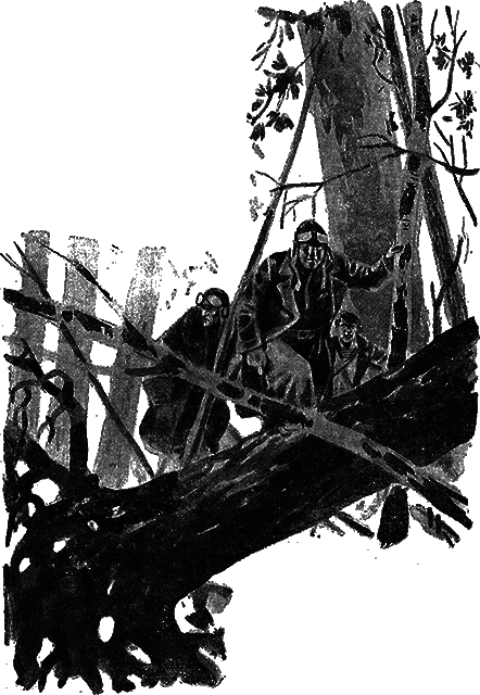 Всемирный следопыт 1930 № 08 - _11_str581.png