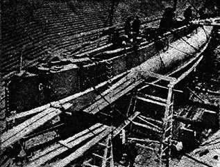 Всемирный следопыт 1931 № 04 - _03_posharu1.png