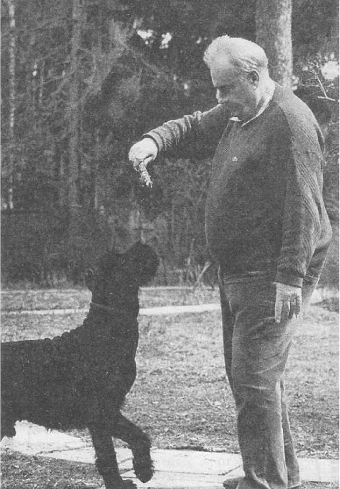 Любовь-весенняя страна - _6.jpg