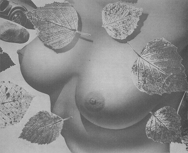 Предсказание - _04.jpg_0