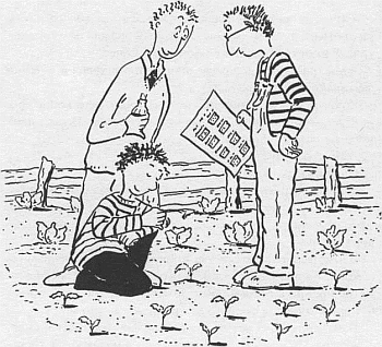 Господин Белло и волшебный элексир - _11.jpg