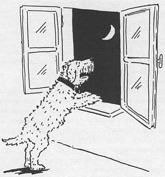 Господин Белло и волшебный элексир - _16.jpg