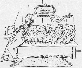 Господин Белло и волшебный элексир - _34.jpg