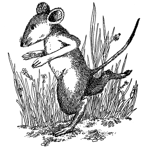 Татуированный пес - i_022.png