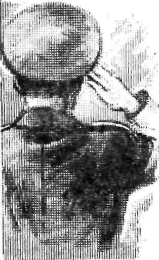 Всех помню… - img_3.jpeg