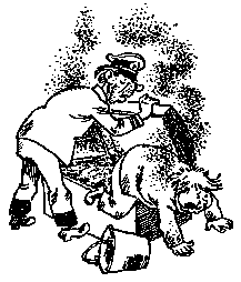 Мореплавания Солнышкина - pic_36.png