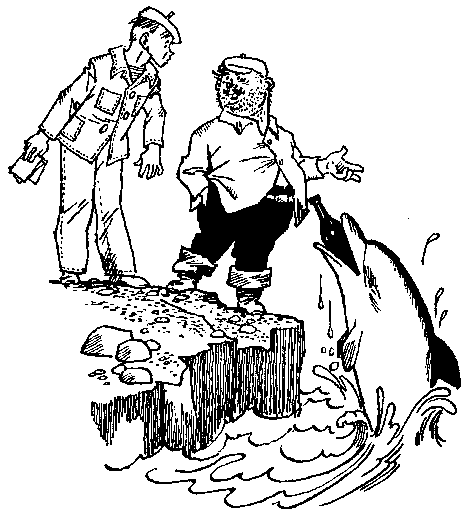 Мореплавания Солнышкина - pic_38.png