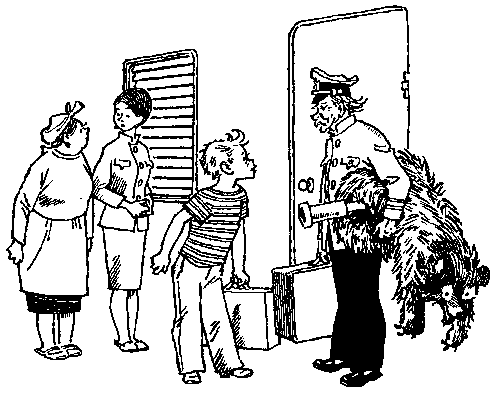 Мореплавания Солнышкина - pic_51.png