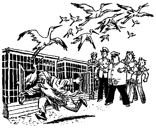 Мореплавания Солнышкина - pic_66.png