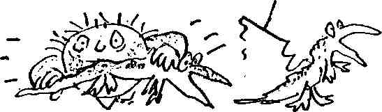 Исповедь маленького негодника. - Any2FbImgLoader126