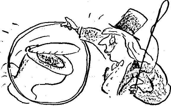 Ой, кто идет! (Исповедь маленького негодника-2) - Any2FbImgLoader29