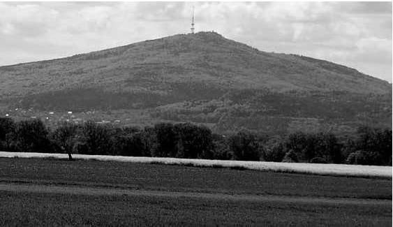 Опора Мироздания. Мировое древо и Скала Времён в традиционной культуре - b00000308.png