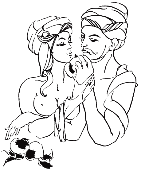 Рубаї (з іл.) - _134.png