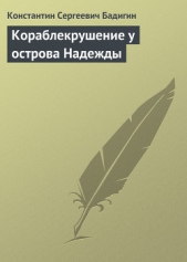 Кораблекрушение у острова Надежды - автор Бадигин Константин Сергеевич 