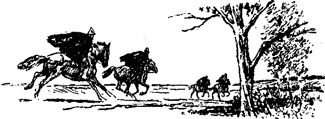 Покорители студеных морей (с иллюстрациями) - i_014.png