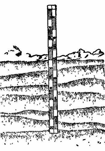 Три зимовки во льдах Арктики - _23.jpg