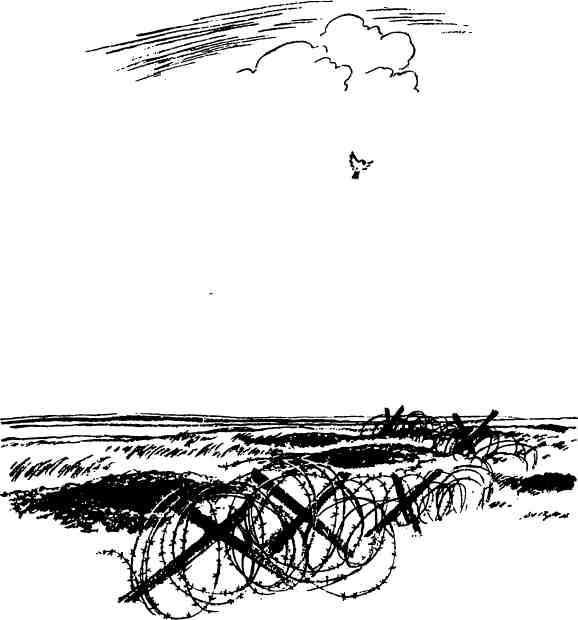 Когда гремели пушки - img_8.jpeg