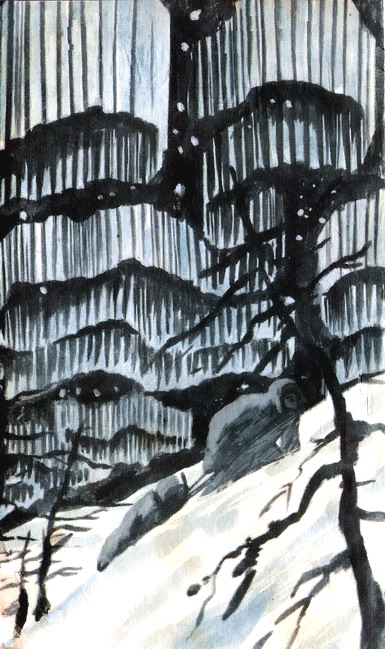 Искатель. 1970. Выпуск №2 - i_001.jpg