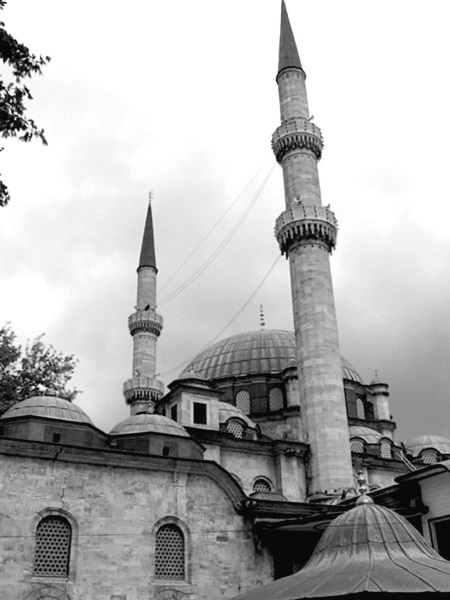 Роксолана. Ведьма Османского гарема - i_026.jpg