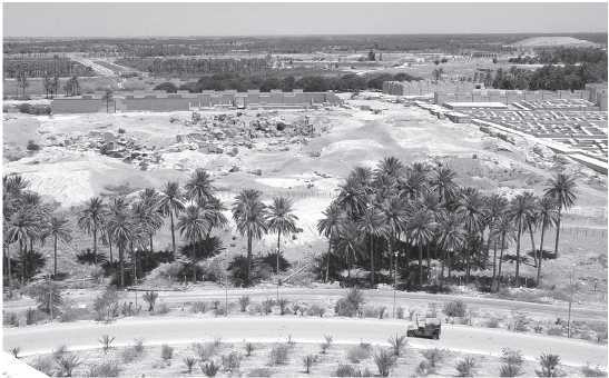 Прямоходящие мыслители. Путь человека от обитания на деревьях до постижения миро устройства - i_006.jpg