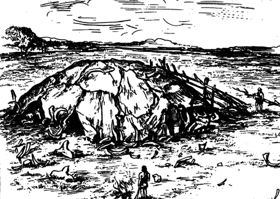 Тайны мировой истории. Трагедии и мифы человечества - ris14.png