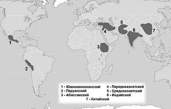 Древние боги - кто они - img_96.jpg