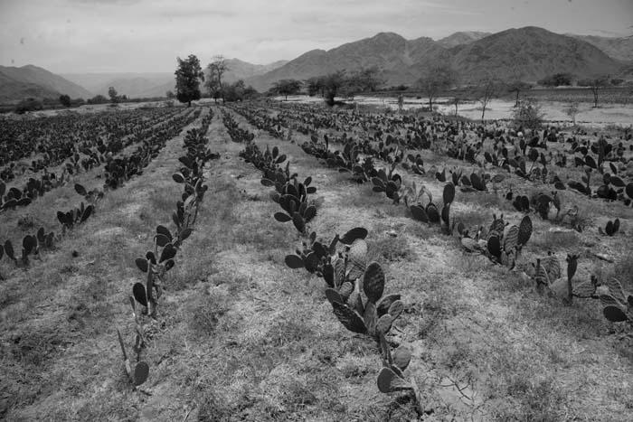 Древние боги - кто они - img_97.jpg