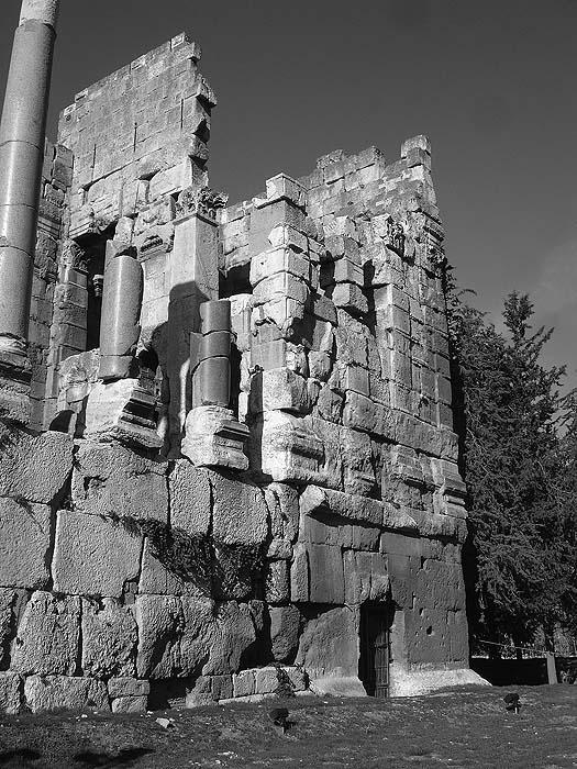 Земля Ваала - img_81.jpg