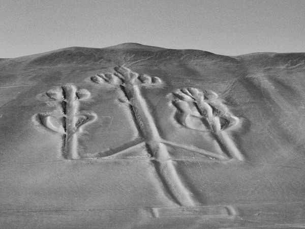 Наска: гигантские рисунки на полях - Any2FbImgLoader32