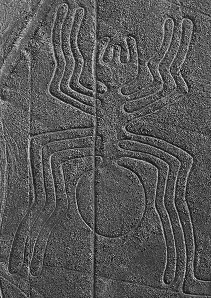 Наска: гигантские рисунки на полях - Any2FbImgLoader40