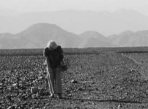 Наска: гигантские рисунки на полях - Any2FbImgLoader55