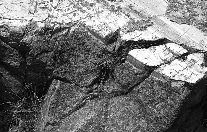 Наска: гигантские рисунки на полях - Any2FbImgLoader74