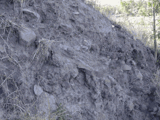 Обитаемый остров Земля - i_031.png