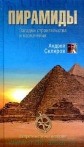 Пирамиды: загадки строительства и назначения - автор Скляров Андрей Юрьевич 