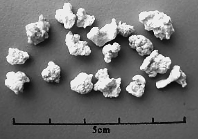 По следам Ковчега Завета - i_015.jpg