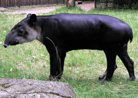 Карандашные пометки биолога на полях книги Джареда Даймонда «Ружья, микробы и сталь. Судьбы человеческих обществ» - diamond_5_279.jpg