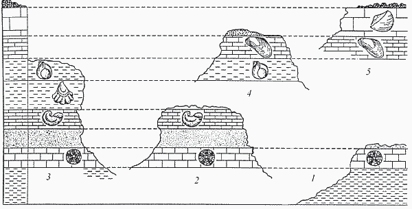 Удивительная палеонтология. История земли и жизни на ней - i_001.png