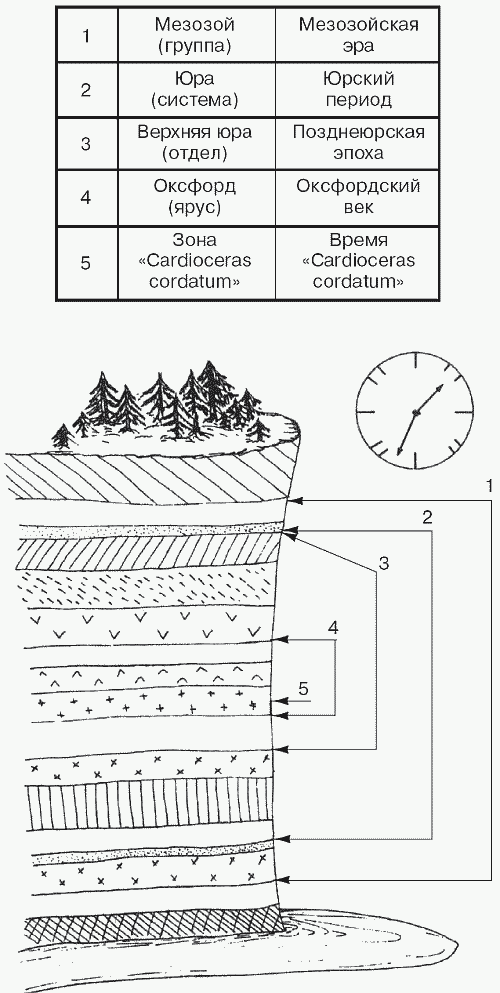 Удивительная палеонтология. История земли и жизни на ней - i_004.png