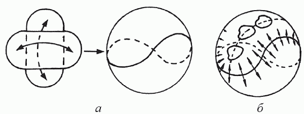 Удивительная палеонтология. История земли и жизни на ней - i_017.png